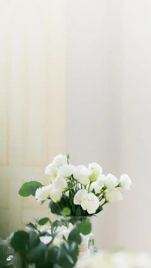 洋桔梗小清新养眼静物写真,锁屏图片,手机壁纸,植物-回车桌面