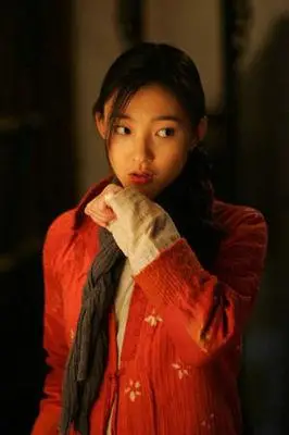 王丽坤 七剑下天山