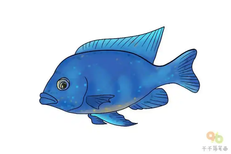 蓝色的鱼简笔画 简笔画图片大全-普车都