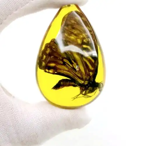 天然昆虫真昆虫学生教学琥珀标本琥珀吊坠蝎子蝴蝶荧光松香味批发