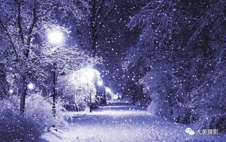 想拍好雪花纷飞的照片先把这条秘笈收藏好