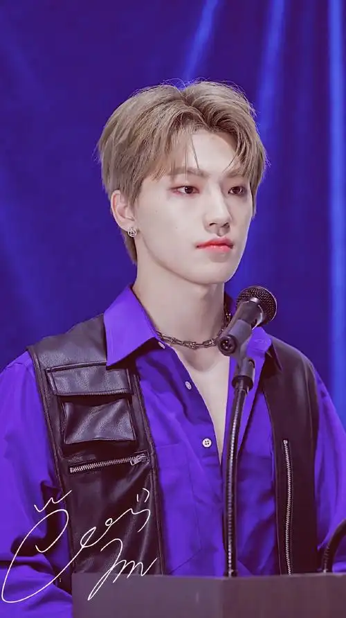 seventeen李灿 忙内