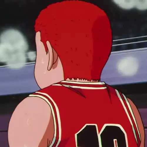 自截# #灌篮高手# 樱木花道 头像(素质拿图/二传备注出处ok?