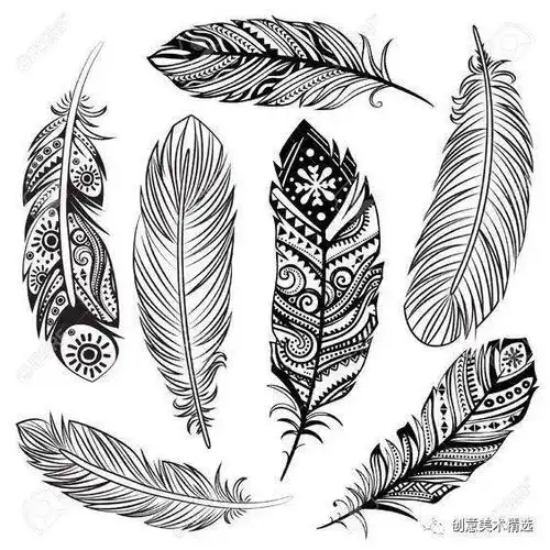 素材分享15张羽毛创意线描作品