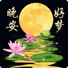 睡前晚安问候祝福图片带字,群发晚上好问候动态表情包_人生