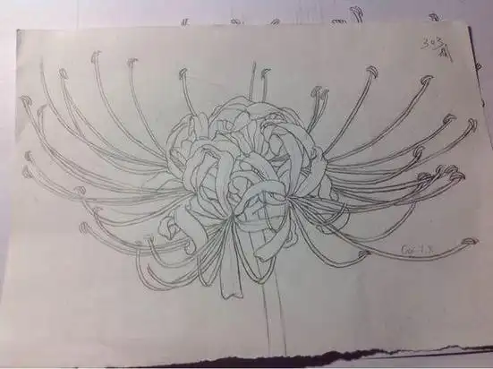 彼岸花丛的简笔画