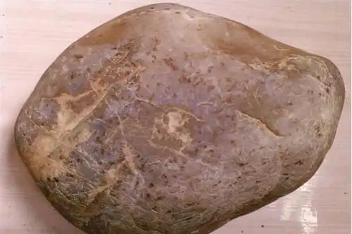 如何分辨玉石原石与普通石头