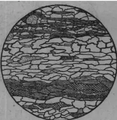 p>片麻状构造(gneissose structure)是 a href="#" data-lemmaid="