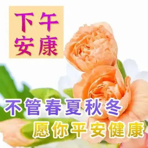 下午好图片大全事事顺利愿新的一天兄弟姐妹吉祥如意健康永随