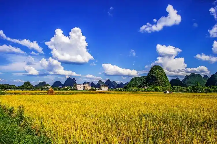 乡村田野风光风景记实拍摄续