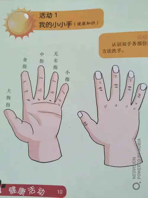 明确大拇指,食指等手的部位名称以后,再通过简单有趣的手指操强化认知