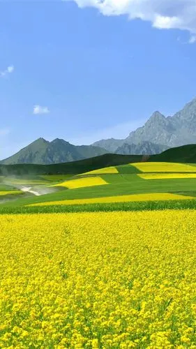 1000_1778竖版 竖屏