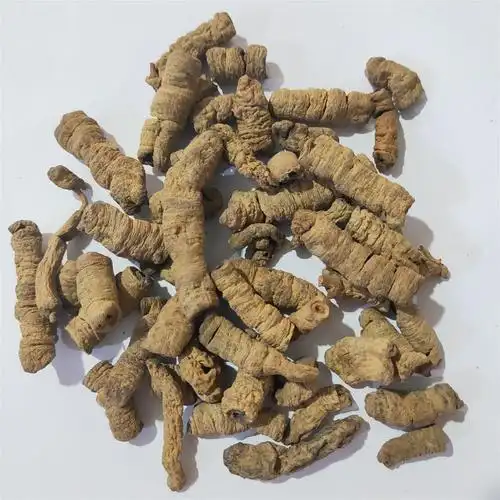 巴戟天 新到盐炒巴戟肉大段,纯干无硫磺 产地 广东省