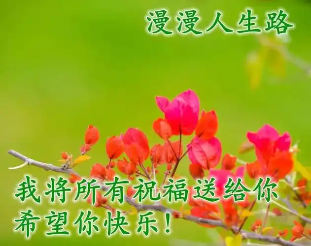 清晨美好正能量励志语录清新带字图片安康问候祝福图片大全