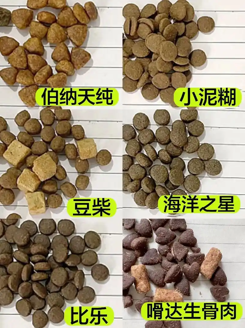 6款狗粮测评分享