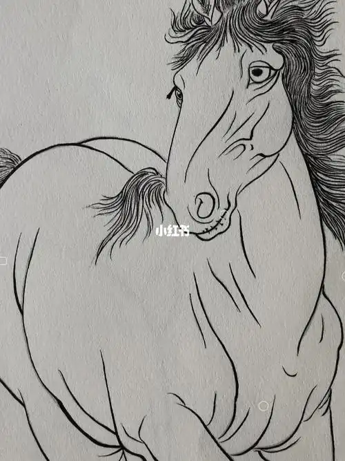 画画  #白描  #国画  #工笔  #绘画  #绘画日常