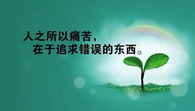 发朋友圈正能量的句子,激励人的励志经典语录配图