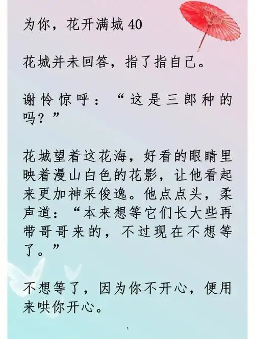 天官赐福同人文第40章