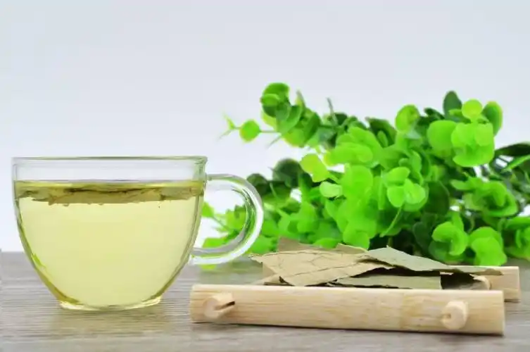 荷叶决明子减肥茶你了解过吗?经常喝让你慢慢摆脱肚子上的赘肉