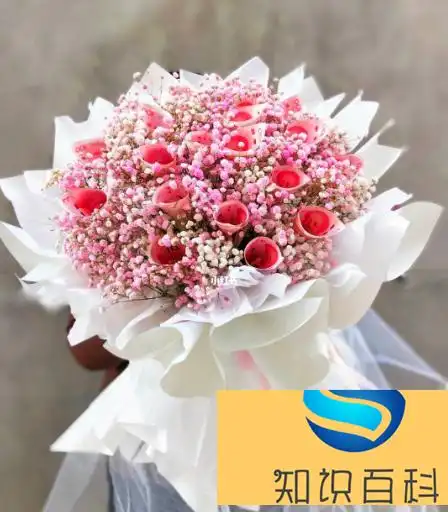 用钱做花束图片大全