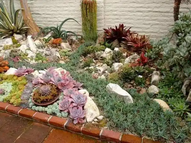 精美绝伦的多肉植物园林景观厉害了我的多肉