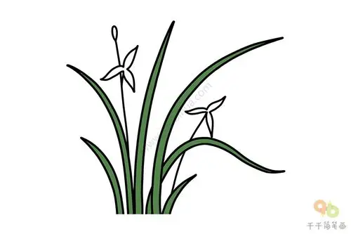 如何画兰花简笔画