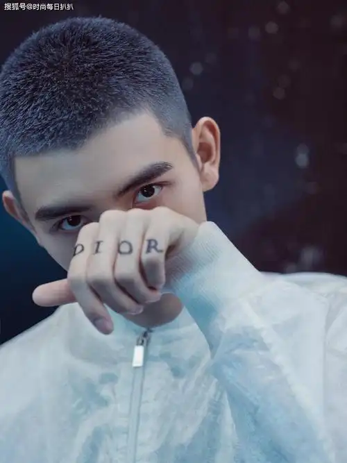这款发型在陈飞宇的头上看上去真的很完美,简直就像一个外星来客,太