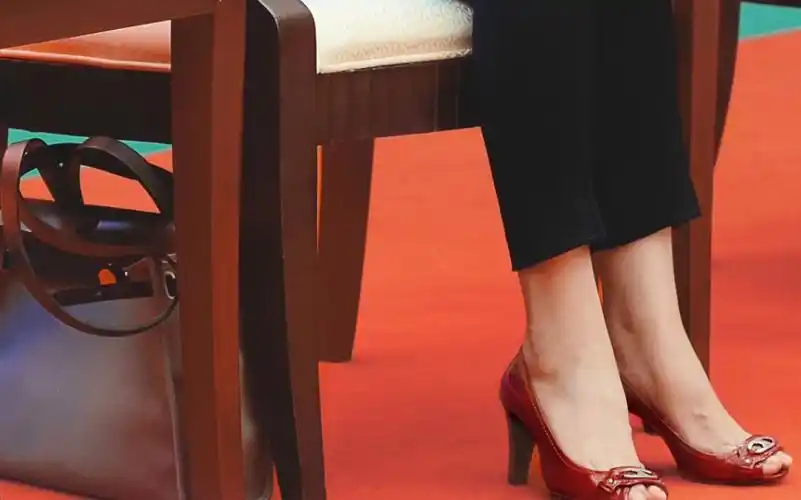 董卿高跟鞋合集