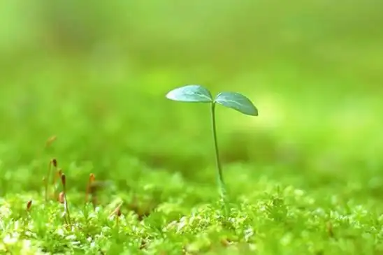 与简单的人交往,会让你感到轻松愉悦,心情舒畅