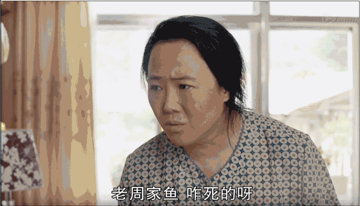 总觉得少了点年味,敢情是《乡村爱情9》才来