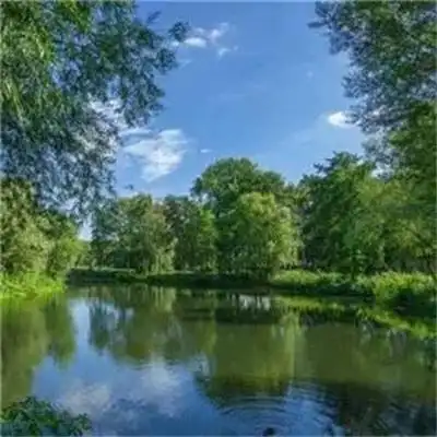 最新旺财最好看的青山绿水风景头像