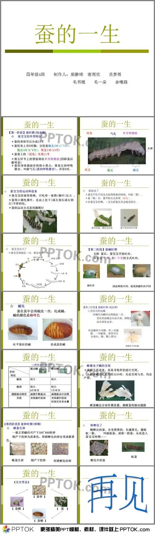 ppt内容这是幼师大班科学蚕的一生ppt下载,主要介绍了蚕宝宝的外型