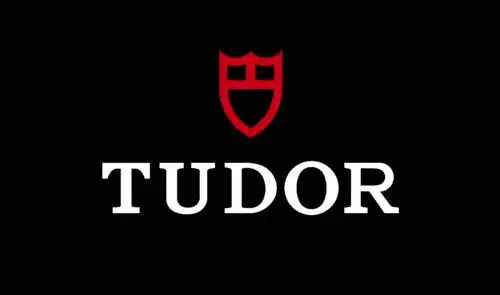 在过去近一个世纪的发展变迁中,帝舵造就了不少经典的时计.