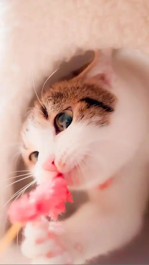 妙妙奶嗲小可爱