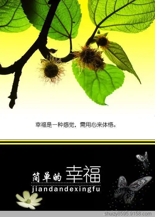 幸福其实很简单