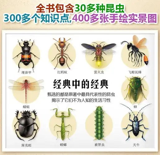 昆虫记科普绘本全套10册 用生命歌唱的蝉 畅销青少年动物科普百科绘本