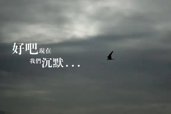 半生已过,余生沉默