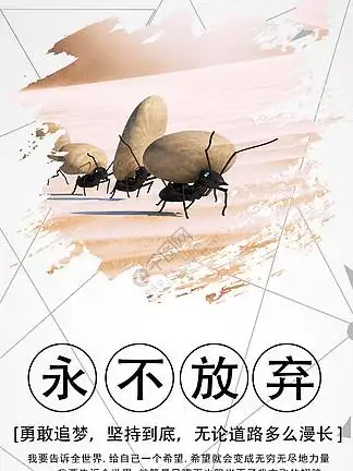 【放弃不难 但坚持很酷】图片免费下载_放弃不难 但坚持很酷素材_放弃