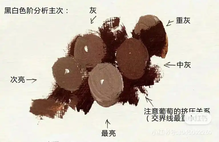 美术生集训  #美术艺考 #色彩静物  #色彩  #水粉静物