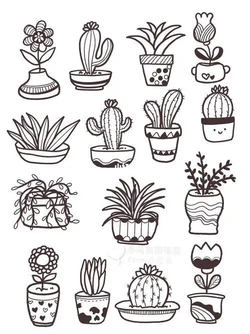 简笔画步骤植物难