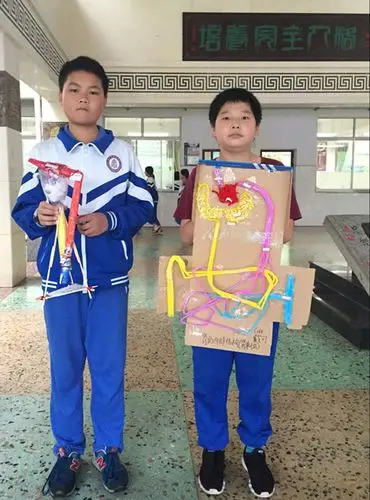 指尖上的智慧记初一生物肾单位结构模型制作大赛