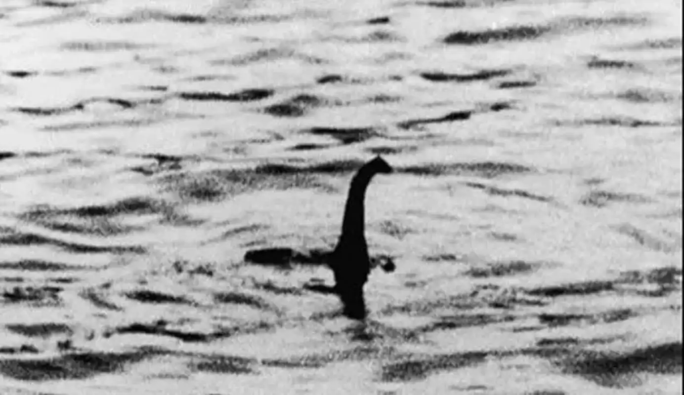 图为:1934年拍摄的尼斯湖水怪,"尼斯湖 水怪"是英国历史上最富盛名的