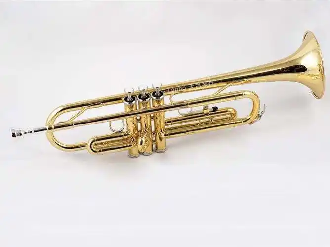 铜管乐器:小号