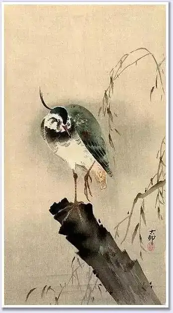 日本画家小原古邨工笔花鸟画欣赏