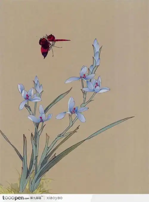 工笔画—兰花   素材公社 tooopen.com