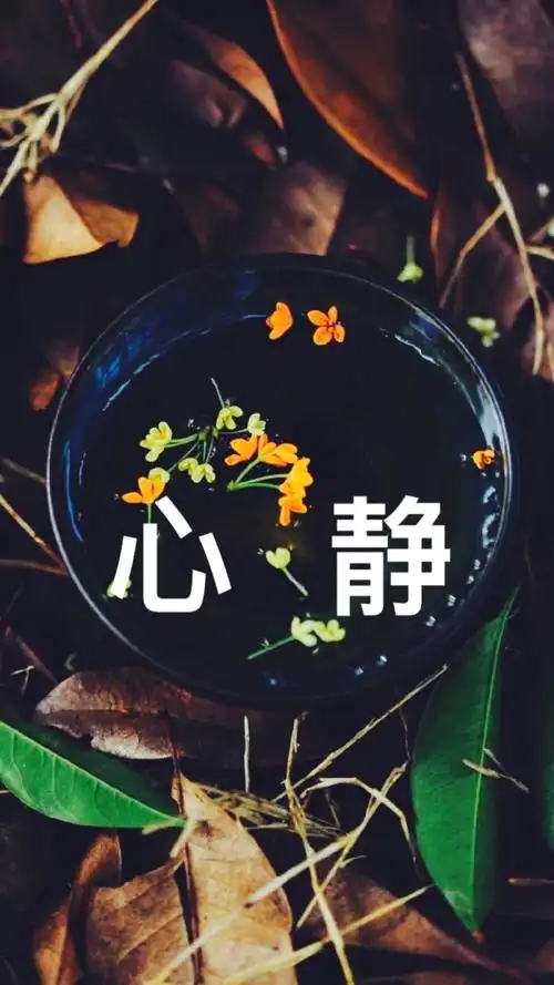 心静