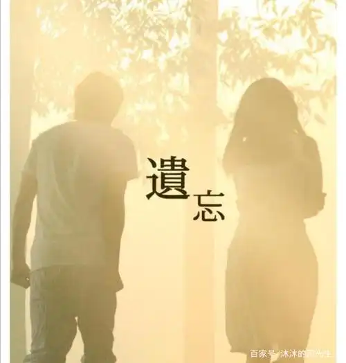 被遗忘,遗弃的那些植物和人(你遗忘了嘛)