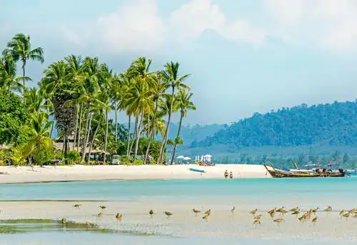 阳春三月就去泰国旅游享受董里纯自然的海岛风光 - 51泰国置业网