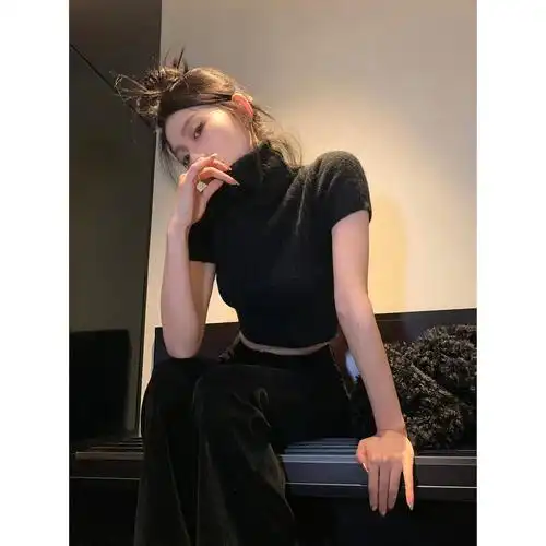 sun11 高领打底毛衣针织衫女秋冬内搭黑色短袖紧身高级感短款上衣