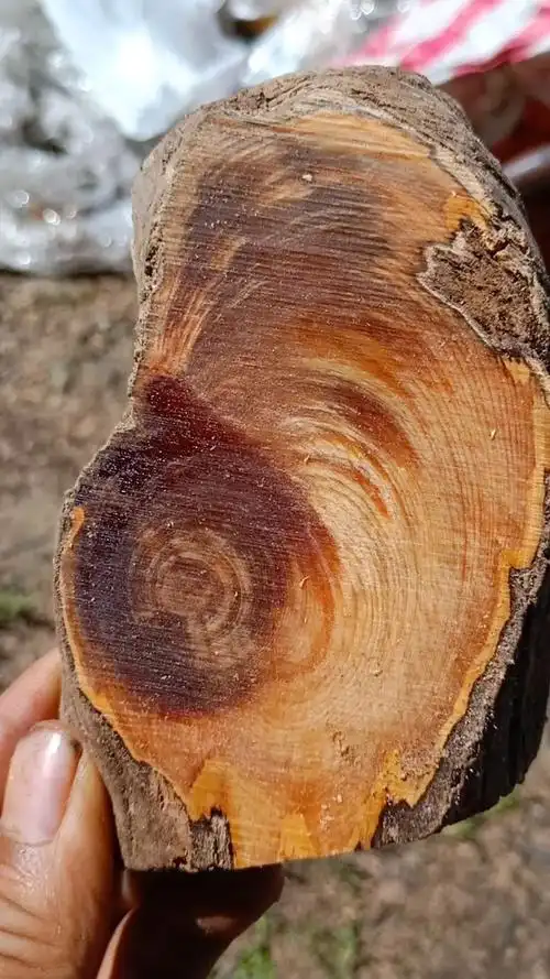 琥珀木手串的原料!